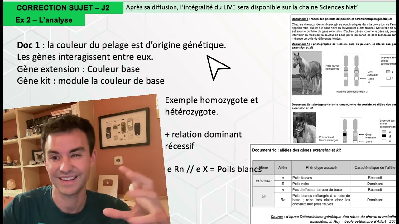 BAC spé SVT 2025 J2 : Correction ✍️